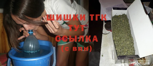 сатива Горняк