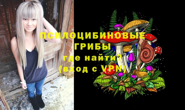 ешки Гусиноозёрск