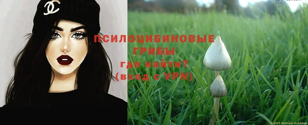 ешки Гусиноозёрск