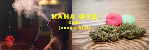 сатива Горняк
