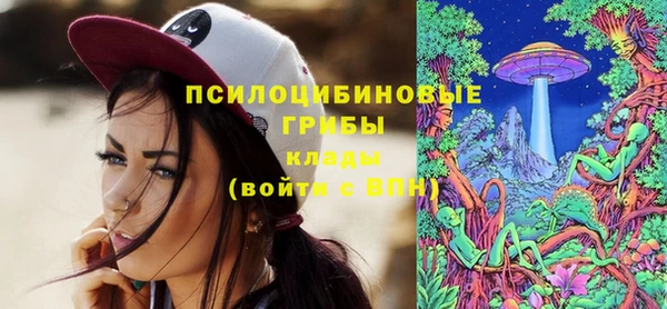прущая мука Горно-Алтайск