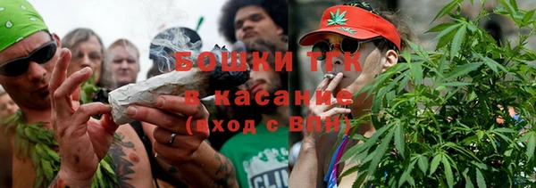сатива Горняк