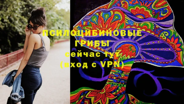 мдма Горнозаводск