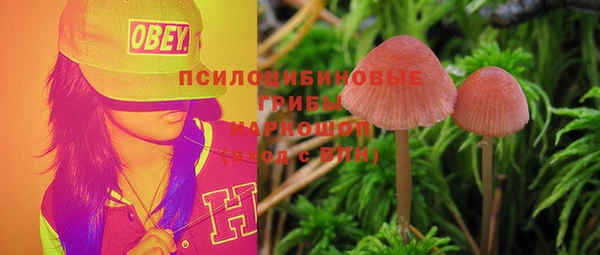 а пвп мука Гусь-Хрустальный